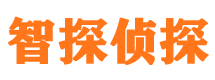 雅安市侦探公司